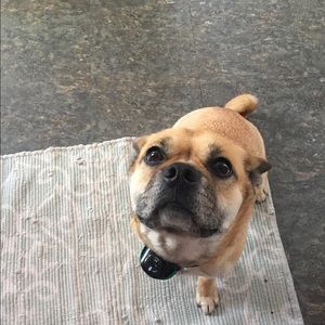 Meet your Posher, Cammie